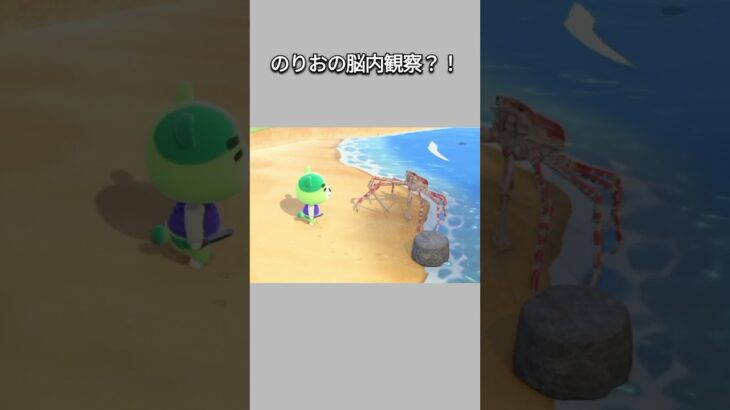 【あつ森】タカアシガニを観察する、のりおの脳内をトンボが観察？！【あつまれどうぶつの森】【どうぶつの森】【ACNH】 #short