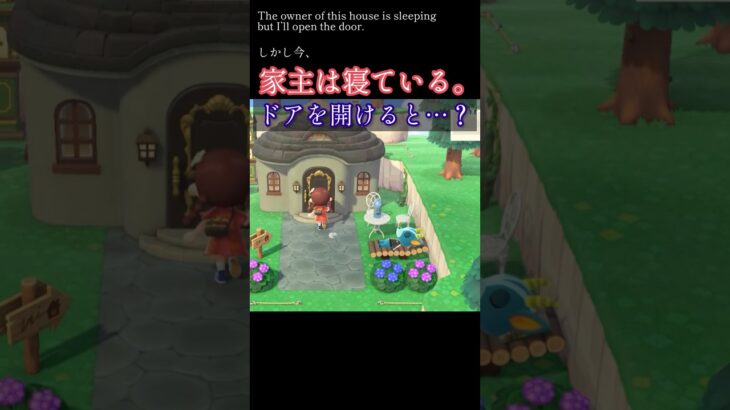 【検証】家主が寝てるときにドアを開ける。【あつ森DLC】