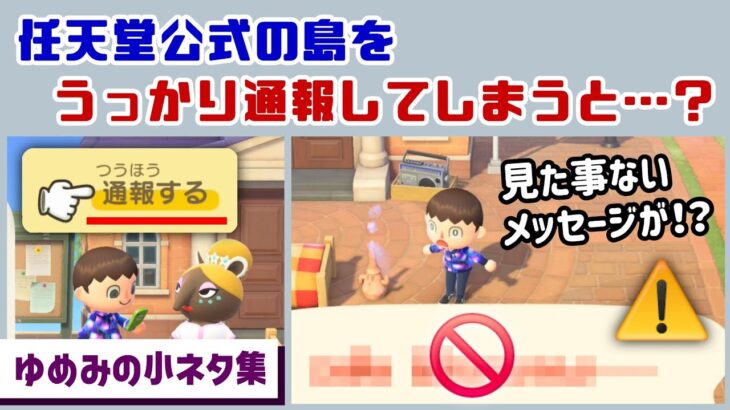 【あつ森】任天堂公式の島をうっかり通報してしまうと……見た事ないメッセージが！？「ゆめみ」に隠れた細かすぎる小ネタ集！【あつまれ どうぶつの森】@レウンGameTV