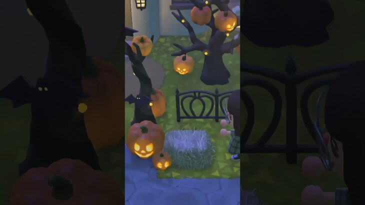 🎃Little pumpkins, warm lights and calm nights #animalcrossingnewhorizons #あつ森 #모동숲 #animalcrossing