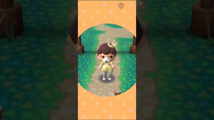 M_2500818-C      #Nintendo #AnimalCrossingNewHorizons #ポケ森 #PocketCamp #acnh #ゲーム #あつ森 #Games #動物森友會