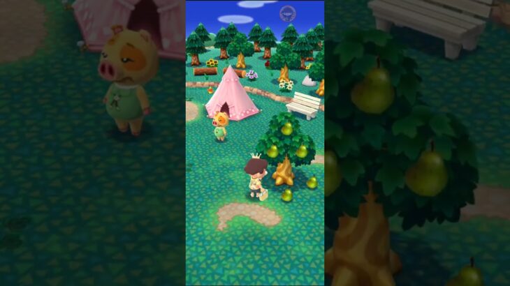 M_2500825-D      #Nintendo #AnimalCrossingNewHorizons #ポケ森 #PocketCamp #acnh #ゲーム #あつ森 #Games #動物森友會