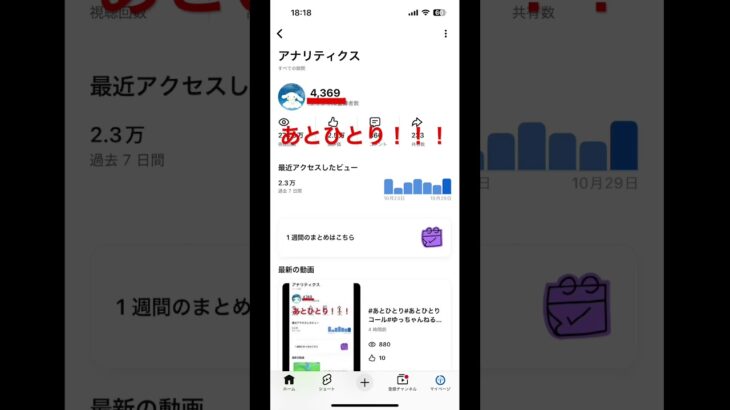 #あとひとり#あとひとりコール#ゆっちゃんねる#シナモン推し#シナモン#あつ森#あつまれどうぶつの森#任天堂#ニンテンドー#Nintendo#switch#スイッチ#ゲーム#ゲーセン#サンリオ