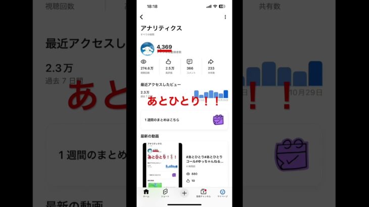 #あとひとり#あとひとりコール#ゆっちゃんねる#シナモン推し#シナモン#あつ森#あつまれどうぶつの森#任天堂#ニンテンドー#Nintendo#switch#スイッチ#ゲーム#ゲーセン#サンリオ