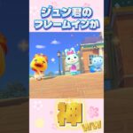 さすが人気No.1 #あつまれどうぶつの森 #あつ森