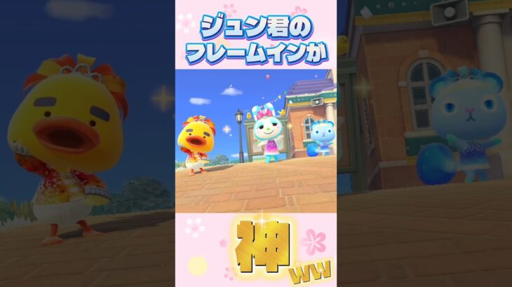 さすが人気No.1 #あつまれどうぶつの森 #あつ森
