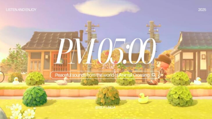 【あつ森】PM05:00|黄昏に染まる和風の通り|やさしい環境音とチルBGM|作業用・癒しBGM