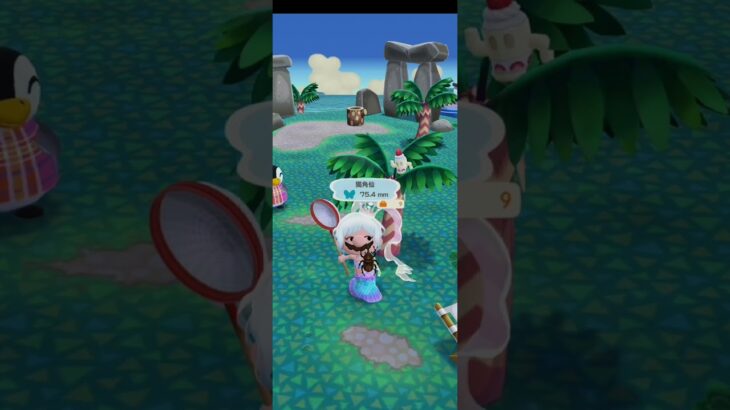 R_250929-A       #Nintendo #AnimalCrossingNewHorizons #ポケ森 #PocketCamp #acnh #ゲーム #あつ森 #Games #動物森友會