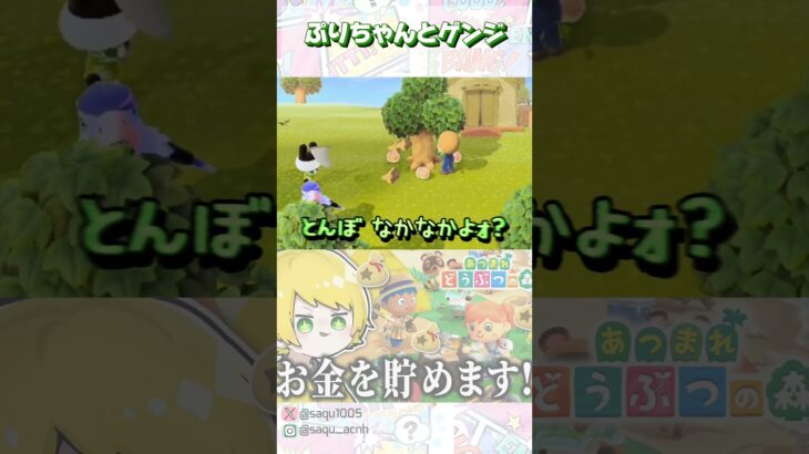 【ぷりちゃんとゲンジ】#あつ森 #STPRCLIP #AMPTAK #ぷりっつさん見て