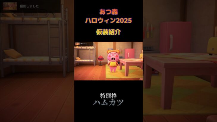 どれが好き？#Shorts#あつ森#ハロウィン