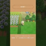 【あつ森】自宅とキャンプ場周りのクリエイト①🏕️【島クリ Shorts】