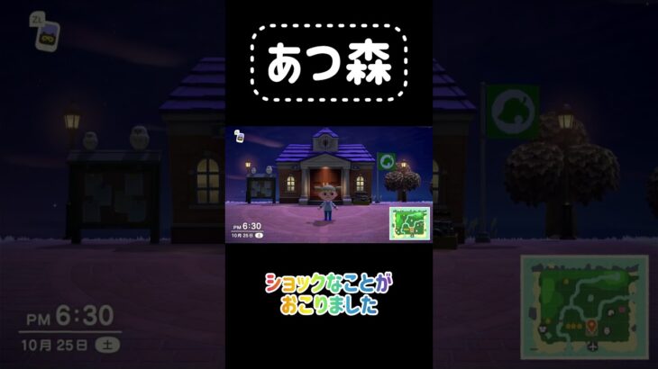 【あつ森】Switch2へのデータ移行で大失敗しました😭皆様もお気をつけくださいね。#あつまれどうぶつの森 #あつ森 #animalcrossing #switch2