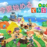 【今更！？あつ森】ぬるぬる動くようになったSwitch2で家具だらけの島を１から作る！！5