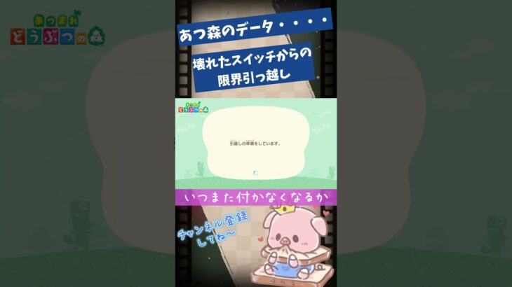 【あつ森】データを壊れたSwitchからの限界引っ越し【COEIROINK】 #Shorts #あつまれどうぶつの森 #あつ森