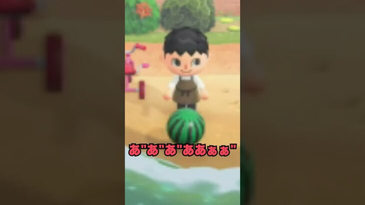 朝活配信で大事件を起こすVtuber #あつ森 #vtuber