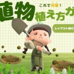 【あつ森】これで完璧！植物の植え方ガイド🌳‪🌱│ 島クリ │ acnh
