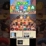 【あつ森】ゴミも綺麗にほいやっさ #acnh #あつまれどうぶつの森 #あつ森 #animalcrossing #あつ森vlog #ゲーム