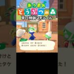 【あつ森】早口特訓マモルくん #acnh #あつ森 #あつまれどうぶつの森 #ゲーム #animalcrossing #あつ森vlog