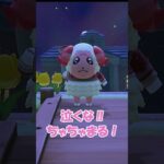 【あつ森】次はきっと獲れるよ！　　　　　　　　　　　　　　　　　　　　　　　　　　　　　　　　　　　　　　　　　　　　　　　　　　　　　　　　　　#あつ森 #acnh #shorts #つくよみちゃん