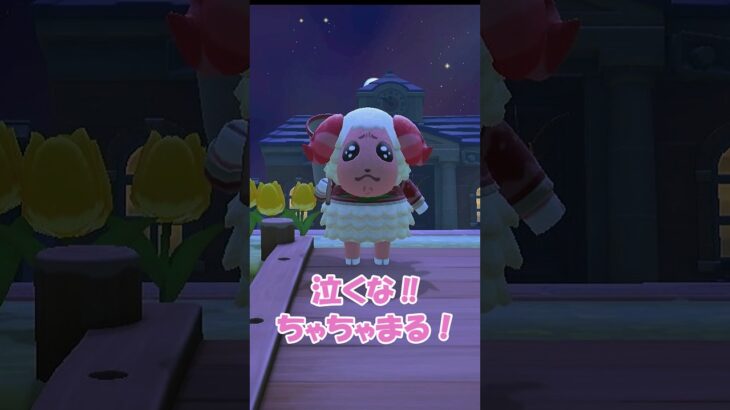 【あつ森】次はきっと獲れるよ！　　　　　　　　　　　　　　　　　　　　　　　　　　　　　　　　　　　　　　　　　　　　　　　　　　　　　　　　　　#あつ森 #acnh #shorts #つくよみちゃん
