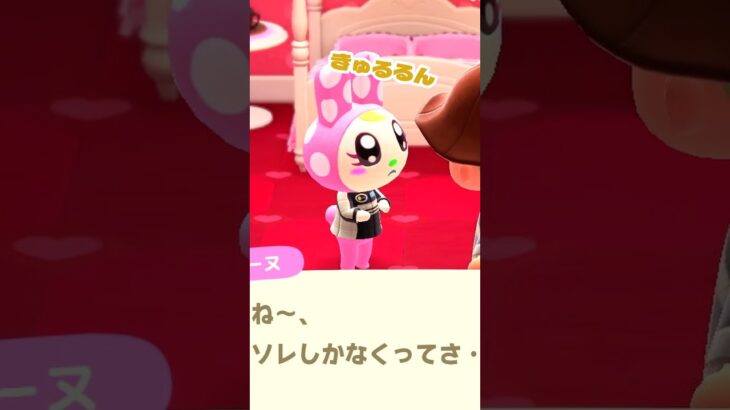 【あつ森】モテてます。クリスチーヌちゃん。 #あつ森 #あつまれどうぶつの森 #acnh #shorts