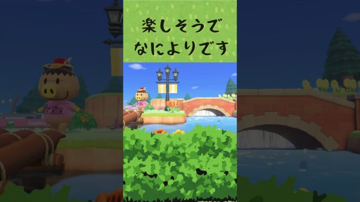 ポークの日常 #あつ森 #あつまれどうぶつの森 #ゲーム #acnh #shorts  #animalcrossing #animalcrossingnewhorizons