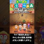 木の実が足りなきゃみんなでゆすれい！ #acnh #あつ森 #あつ森vlog #ゲーム #animalcrossing #あつまれどうぶつの森