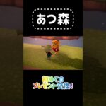 【あつ森】初めてのプレゼント交換した！明日、このシーン含む動画を公開予定！ #あつ森 #あつまれどうぶつの森   #animalcrossing #ゲーム実況