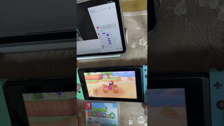 お花の並べ方🌸　#あつ森 #あつまれどうぶつの森 #大人初心者 #animalcrossing