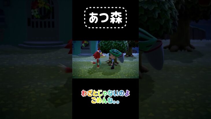 【あつ森】わざとじゃないの。ごめんね。 #あつ森 #あつまれどうぶつの森 #animalcrossing