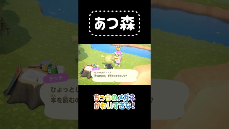 【あつ森】メガネちっちがかわいすぎ！ #あつ森　#あつまれどうぶつの森　#animalcrossing