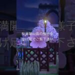 夜桜めぐり🌸 #あつ森 #あつまれどうぶつの森 #あつ森好きな人と繋がりたい #animalcrossing #ゆめみ #おかめなっ島 #acnh #桜 #cherry #shorts #さくら