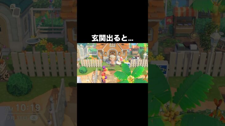 頑張れ‼️ちゃちゃまる #あつ森 #あつまれどうぶつの森 #あつ森好きな人と繋がりたい #animalcrossing #ゆめみ #おかめなっ島 #acnh #comedy #ちゃちゃまる #コント
