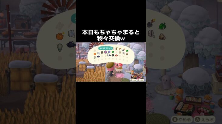 ちゃちゃまるの献身🐑 #あつ森 #あつまれどうぶつの森 #あつ森好きな人と繋がりたい #animalcrossing #おかめなっ島 #acnh #comedy #ちゃちゃまる #shorts #羊
