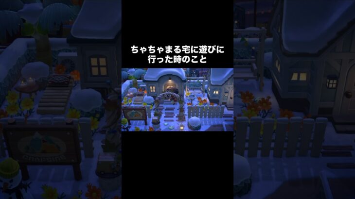 今夜のちゃちゃまる🐑 #あつ森 #あつまれどうぶつの森 #あつ森好きな人と繋がりたい #animalcrossing #おかめなっ島 #acnh #comedy #shorts #ちゃちゃまる