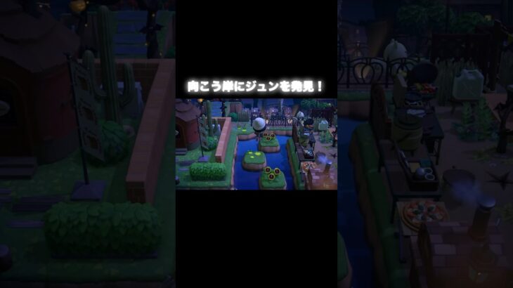 ひさしぶり‼️ #あつ森 #あつまれどうぶつの森 #あつ森好きな人と繋がりたい #animalcrossing #ゆめみ #おかめなっ島 #acnh #comedy #shorts #ジュン