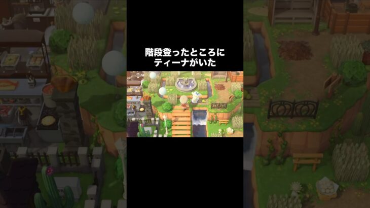 邪魔しないでぇ～💦 #あつ森 #あつまれどうぶつの森 #あつ森好きな人と繋がりたい #animalcrossing #ゆめみ #おかめなっ島 #acnh #comedy #shorts #why