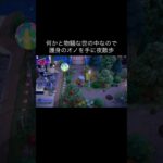 夜道の散歩 #あつ森 #あつまれどうぶつの森 #あつ森好きな人と繋がりたい #animalcrossing #おかめなっ島 #acnh #horror #shorts #night #びっくり#恐怖