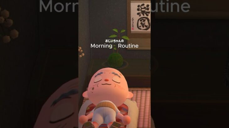 おじいちゃんのモーニングルーティン👴🏻 #あつ森 #あつまれどうぶつの森 #animalcrossing #acnh #morningroutine