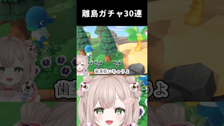 ペリーヌちゃんに会えるまでの離島ガチャまとめ#あつ森 #あつまれどうぶつの森 #離島ガチャ #animalcrossing #acnh #shorts
