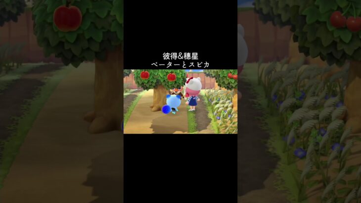 #あつ森 #あつまれどうぶつの森 #動物森友會 #animalcrossing #animalcrossingnewhorizons #スピカ#ペーター
