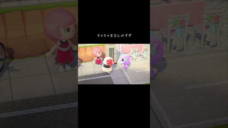 #あつ森 #あつまれどうぶつの森 #animalcrossing #animalcrossingnewhorizons #動物森友會 #動森 #ちゃちゃまる#みすず#茶茶丸#美玲