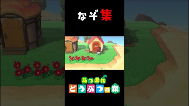 あつ森動画からのなぞ場面切り抜き【あつまれどうぶつの森】#あつまれどうぶつの森 #どうぶつの森 #animalcrossing  #nintendoswitch