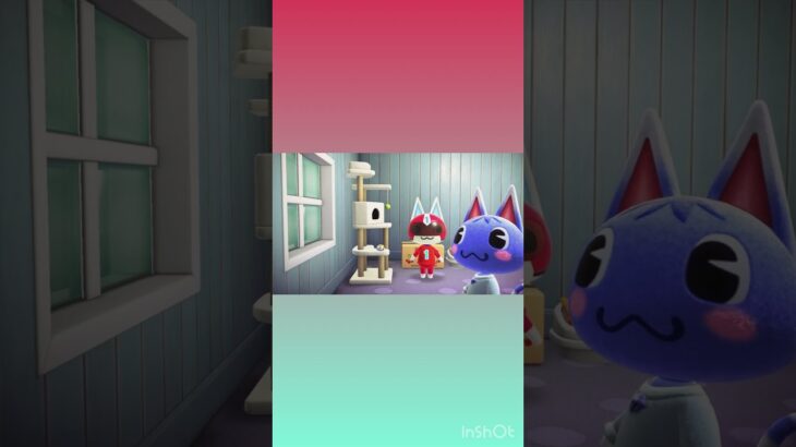 ネコパーンチ😸👊🏻❣️ #あつ森 #あつまれどうぶつの森 #animalcrossing #shorts #gaming #ビンタ #ブーケ #ラムネ #ハッピーホームパラダイス