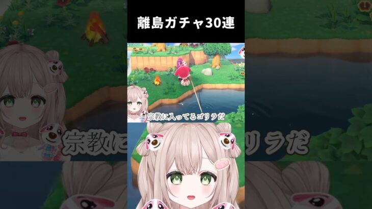 ペリーヌちゃんに会えるまでの離島ガチャまとめ#あつ森 #あつまれどうぶつの森 #離島ガチャ #animalcrossingnewhorizons #animalcrossing #acnh