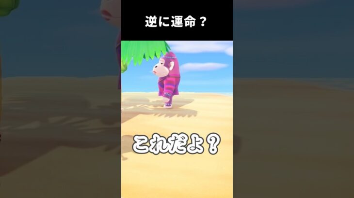 逆に運命なのでは…#あつ森 #あつまれどうぶつの森 #どうぶつの森 #離島ガチャ #animalcrossingnewhorizons #animalcrossing #acnh #shorts