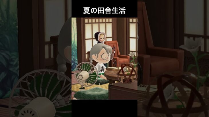 【あつ森ハピパラ】イッテツの別荘レイアウト #あつ森 #あつまれどうぶつの森 #animalcrossingnewhorizons #ハピパラ #ハッピーホームパラダイス #shorts