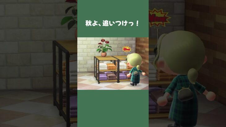 【あつ森】まだ暑いのに服屋さんにはニットが⁈秋よ、早く追いついておくれっ！ #あつ森 #あつまれどうぶつの森 #daily #日常 #shorts