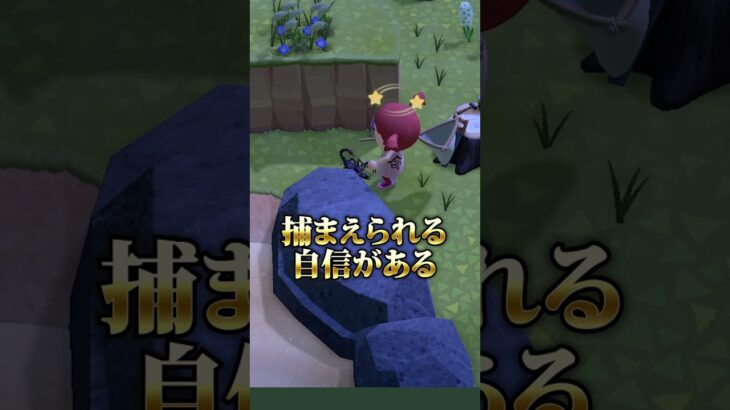 【#あつ森 】サソリ島に初めて行けたのでプロ級の捕獲術をご披露しました🦂✨️#あつまれどうぶつの森 #どうぶつの森 #gaming
