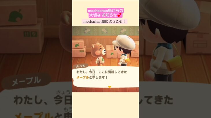 【あつ森】メープルちゃんがmochachan島の住民に！@たーさんの趣味の部屋 #mochachan島 #shorts